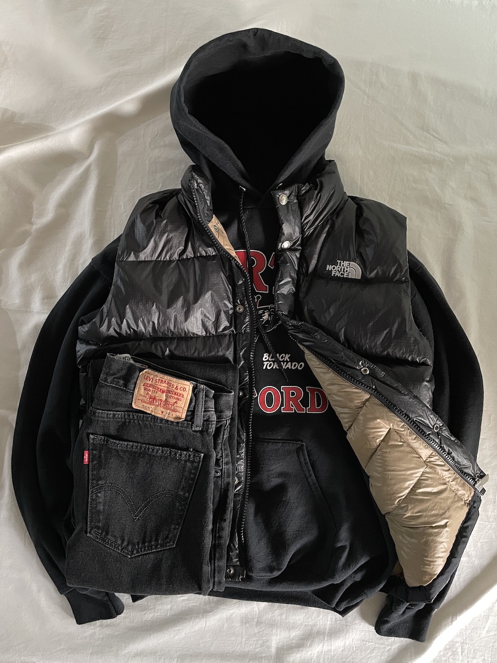 THE NORTH FACE MOUNTAIN VEST (3844)